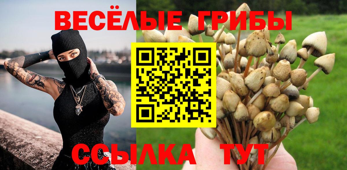 Псилоцибиновые грибы GOLDEN TEACHER  Вход с VPN  Белогорск  Псилоцибиновые грибы мухоморы 
